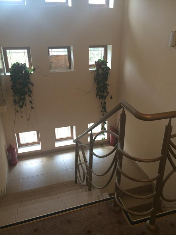 Hotel Fiama Otelu Rosu Екстер'єр фото